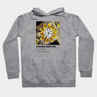 Creme Brulee Hoodie